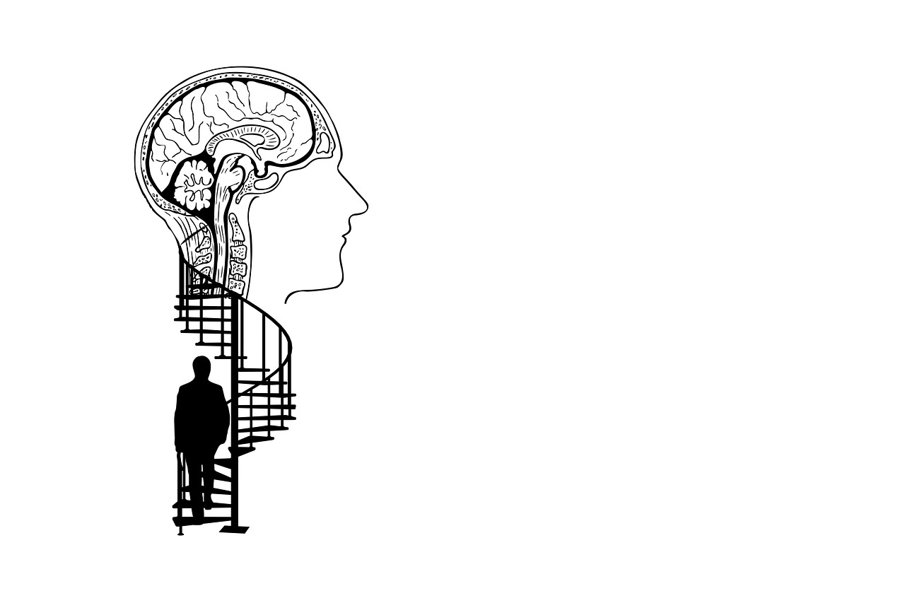 brain, head, silhouette-5472126.jpg